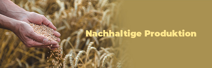 Nachhaltige Produktion
